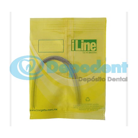 ARCO INFERIOR NITI ILINE .019 X .025 10 PZA BORGATTA