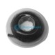 CADENA ELASTICA CERRADA NEGRO 2.30 M BORGATTA