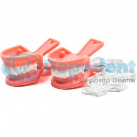 CAIMAN TIPODONTO PLASTICO BAKEL