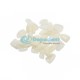 CARILLA DE POLICARBONATO 70 PZA GT DENTAL