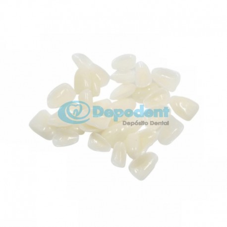 CARILLA DE POLICARBONATO 70 PZA GT DENTAL