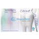 CARNET DE CITAS DISEÑO MUELA ESPEJO 25 PZAS GT DENTAL