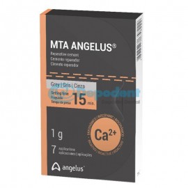 CEMENTO MTA GRIS 1 GR ANGELUS